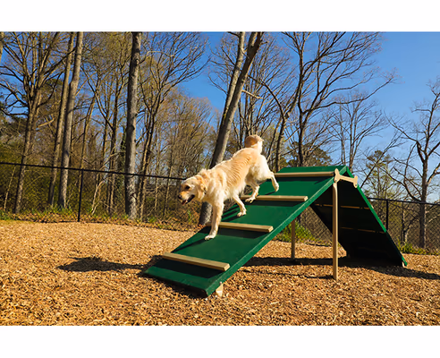 Kings Park Dog Run photo 2